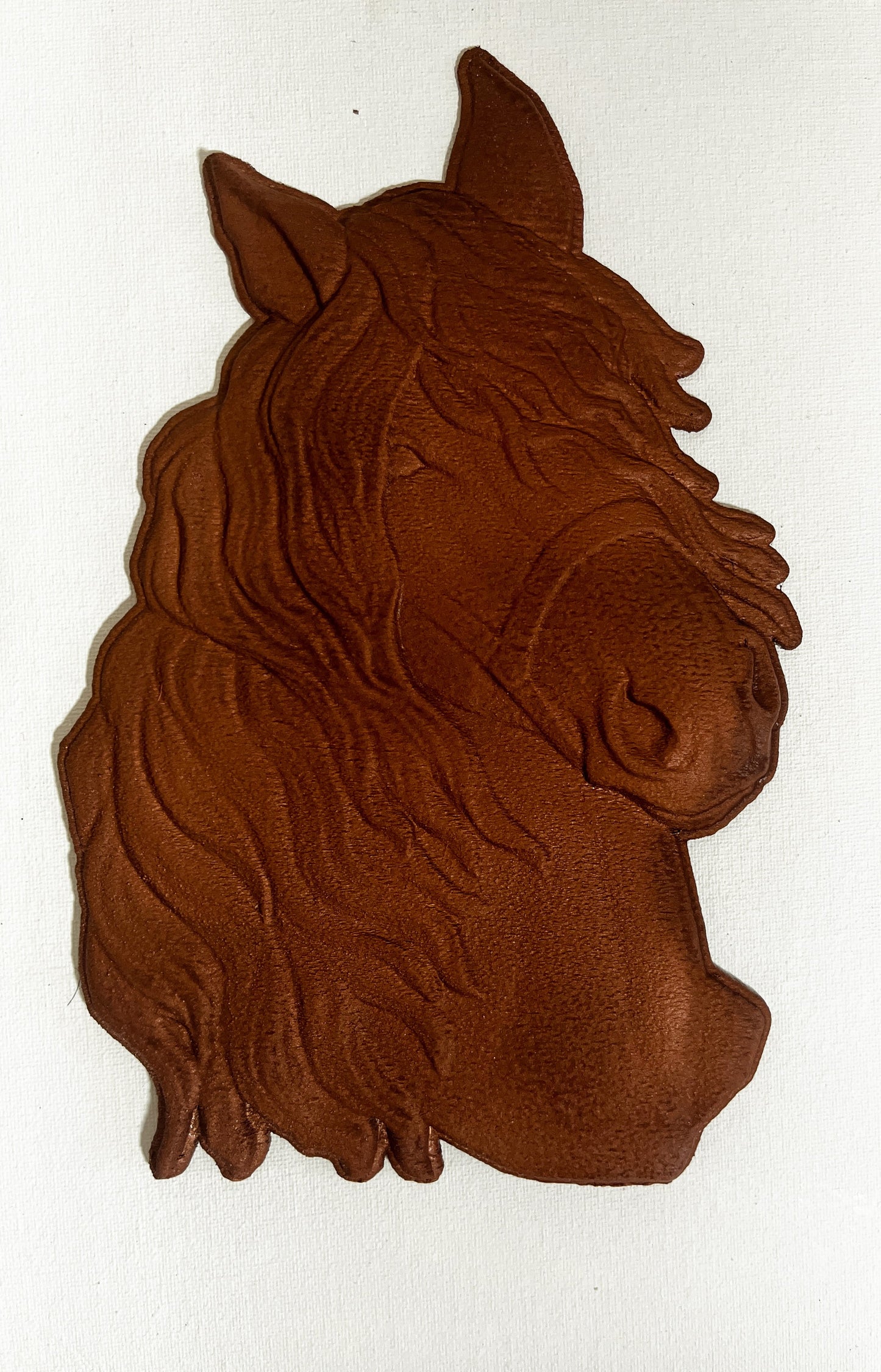Horse Portrait