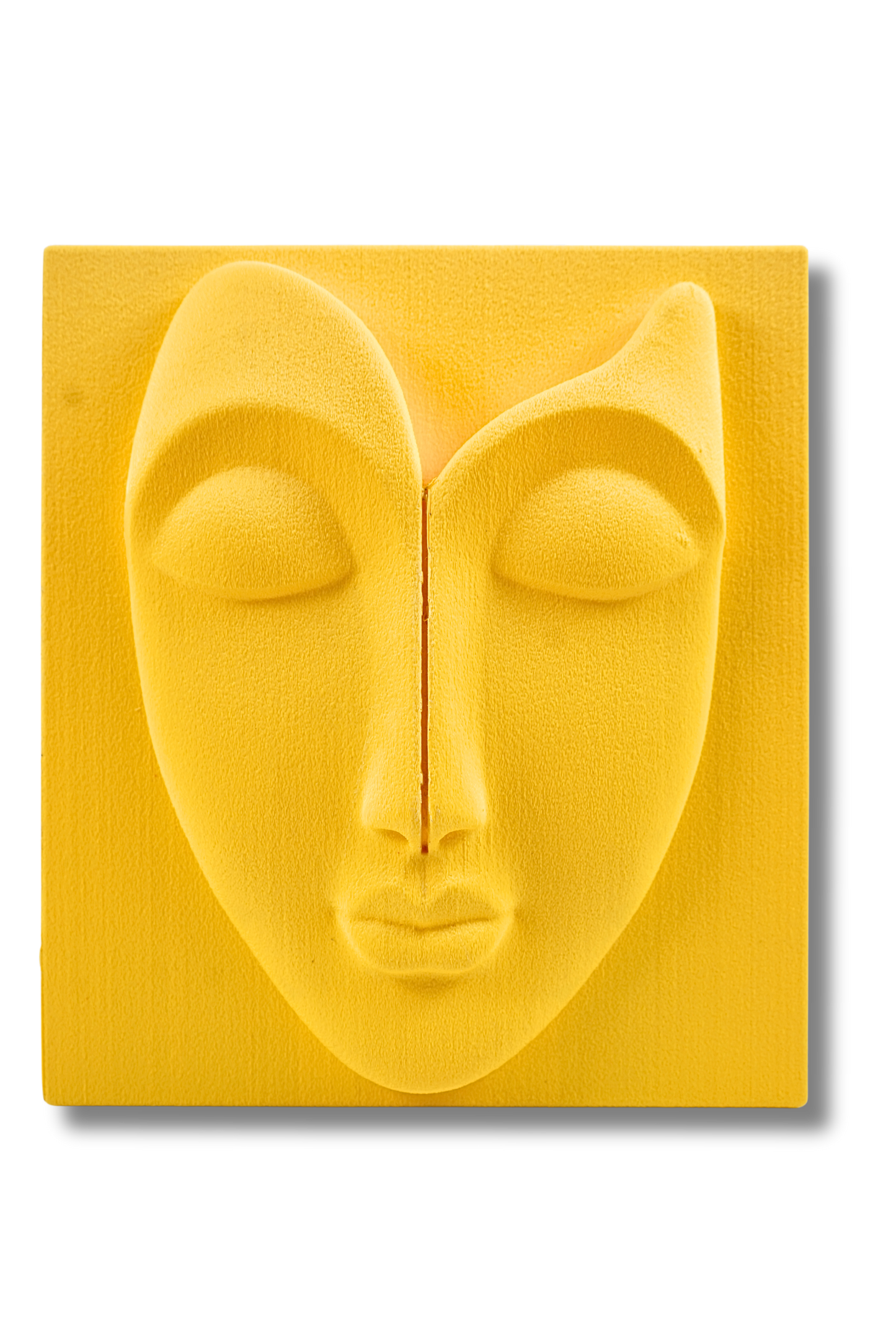 Expressions in Stillness
