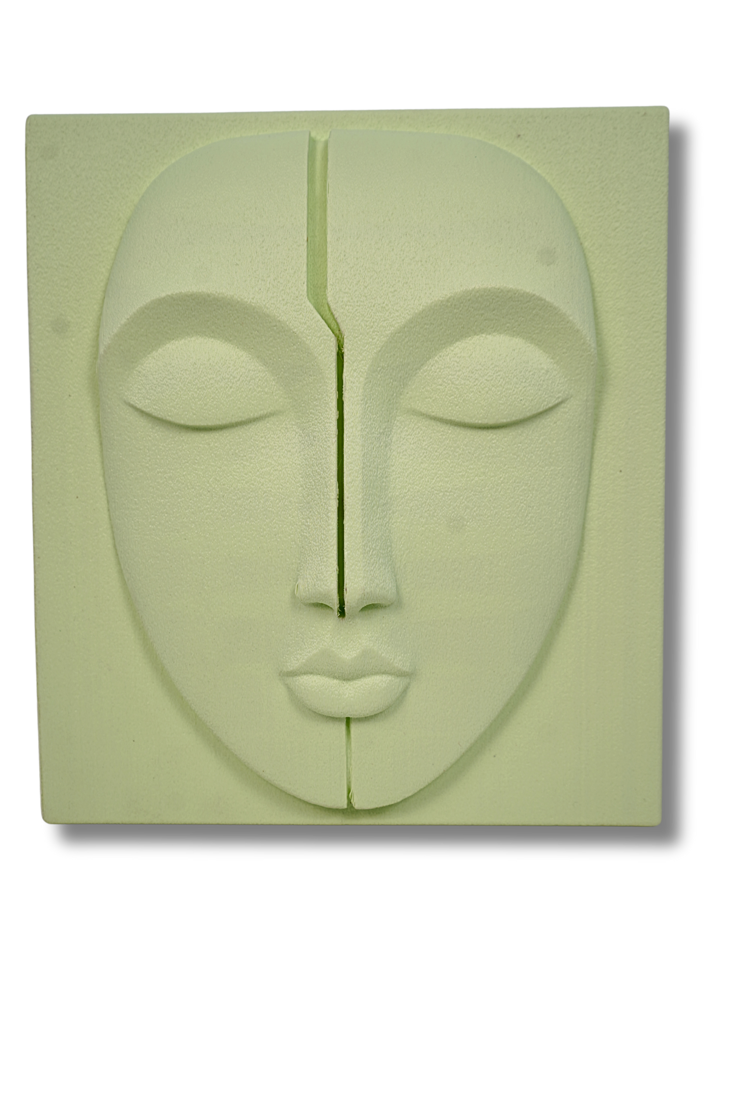 Expressions in Stillness